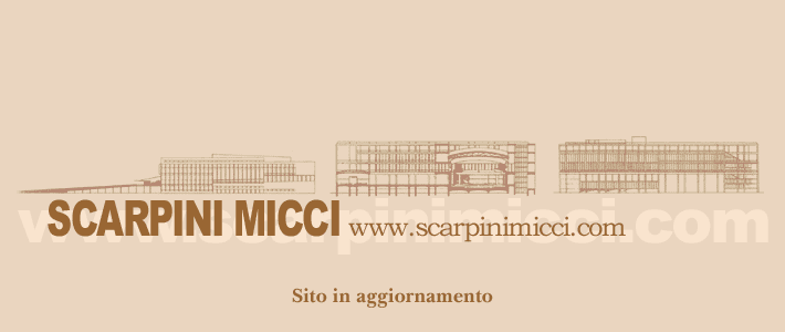 Scarpin Micci